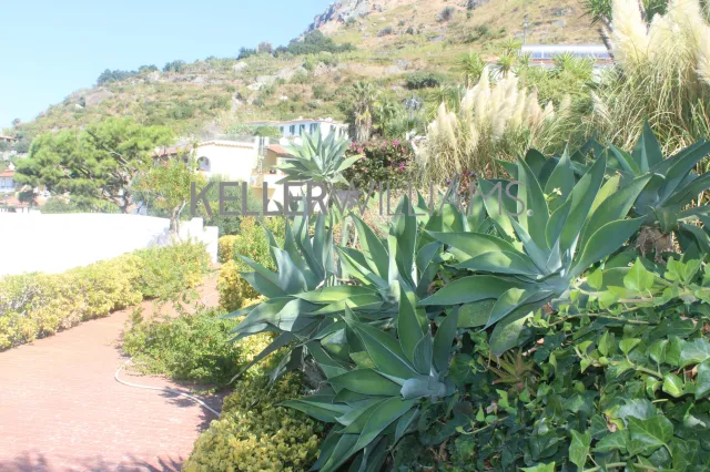 Casa indipendente in vendita a Forio, foto 4 di 22