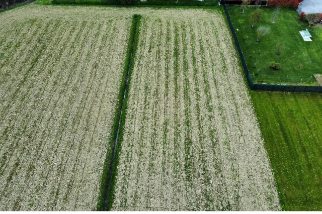 Terreno in vendita a Passarella, foto 13 di 13